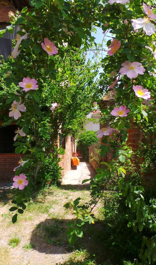 Agriturismo Olivazzi Quattordio Kültér fotó