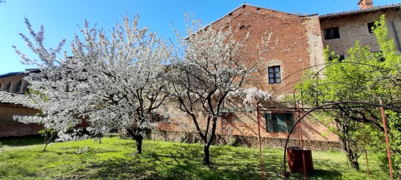 Agriturismo Olivazzi Quattordio Kültér fotó